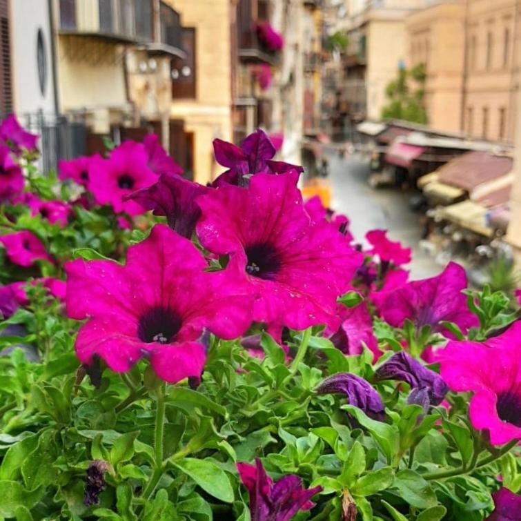 Il Rosone Luxury B&B Palermo Esterno foto